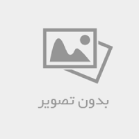 تور بوشهر با بهترین برنامه سفر: بازدید از سواحل، بازارهای محلی و جاذبه‌های تاریخی